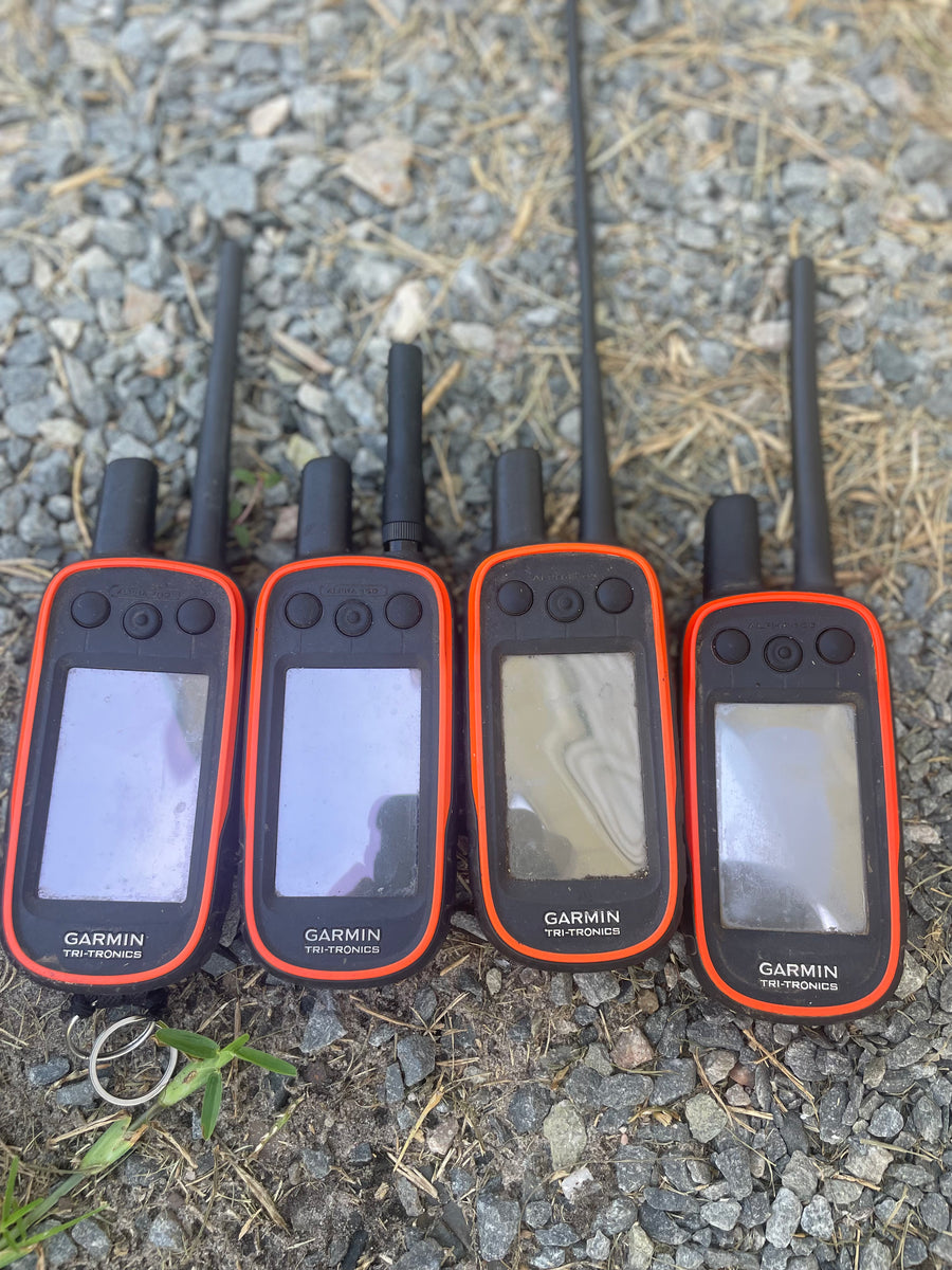 Garmin alpha best sale for sale used