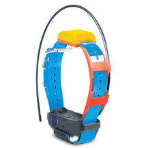 Load image into Gallery viewer, Dogtra Pathfinder 2 TRX Collar