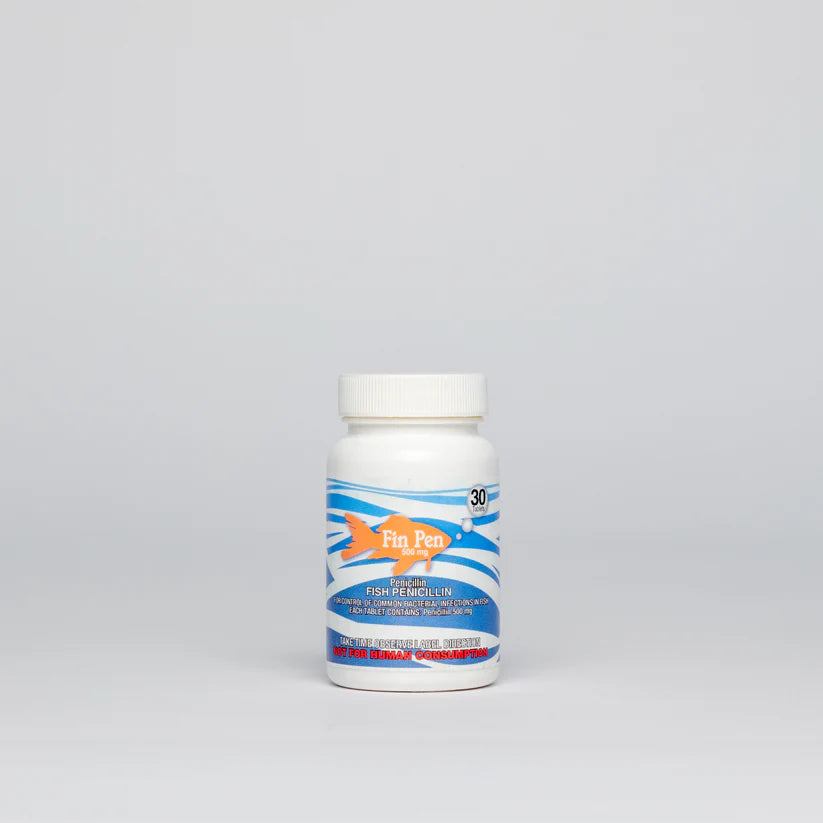 Fish Pen - Penicillin - 500 mg – Havoc Hunting Supply