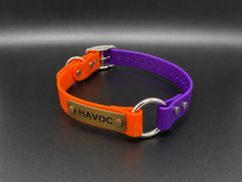 Load image into Gallery viewer, Brass Name Tag 19" Two-Tone Dayglo Collar with D-Ring &amp; Center Ring - 3/4" Wide