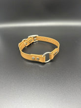Load image into Gallery viewer, Black Name Tag 19" Solid Dayglo Collar with D-Ring and Center Ring - 1" Wide