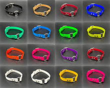 Load image into Gallery viewer, Black Name Tag 19" Solid Dayglo Collar with D-Ring and Center Ring - 1" Wide