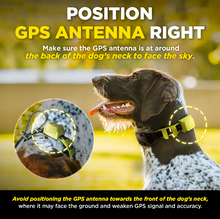 Load image into Gallery viewer, DOGTRA GPS Fence