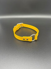 Load image into Gallery viewer, Black Name Tag 19" Solid Dayglo Collar with D-Ring and Center Ring - 1" Wide