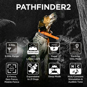 Dogtra Pathfinder 2 Mini Track and Train Collar