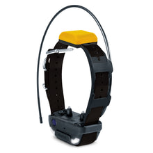 Load image into Gallery viewer, Dogtra Pathfinder 2 Mini Track and Train Collar
